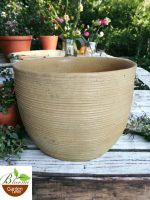 Rustic Fat Boy Bieze Planter