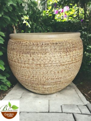 Rustic Mottu Bieze Planter