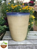 Rustic Tall Boy Planter with Blue Rim