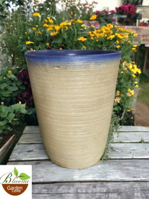 Rustic Tall Boy Planter with Blue Rim
