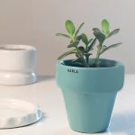 Small Ceramic Pot - The Dream Pot