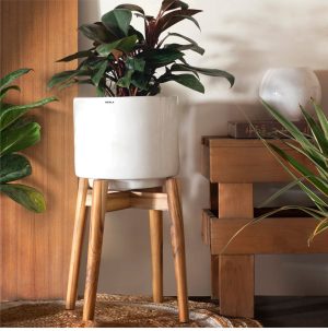 Crimson Sky White - With Wooden Stand