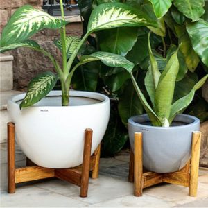 Ceramic Pot With Stand Echoing Eternity-Fat-With Wooden Stand