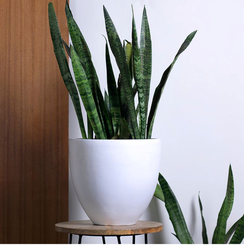 Ceramic Planters Echoing Eternity - Slim - Image 5