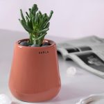Small Ceramic Planters Tulip Fantasy - Extra Small
