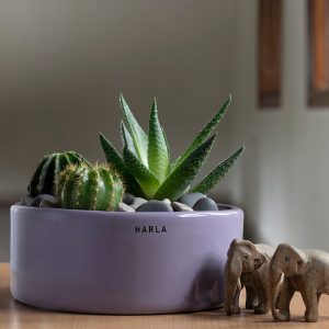 Round Ceramic Pot Lilac Stories-Flat