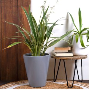 Ceramic Planter Love Bite