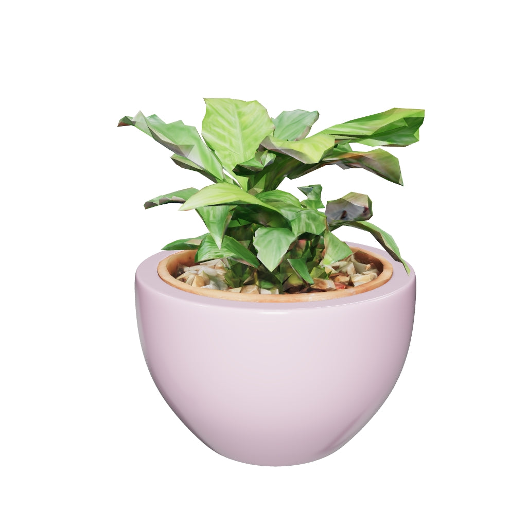 Indoor Ceramic Pots Nature's Hum - Image 30