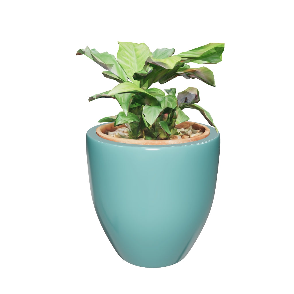 Indoor Ceramic Pots Nature's Hum - Image 31