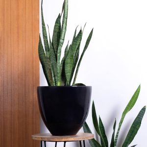 Ceramic Planters Echoing Eternity - Slim
