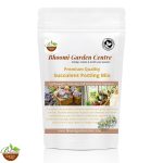 Succulent Potting Mix