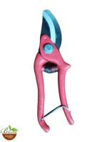 Taiwan Type Pruning Secateur SWS-6, 8 inch