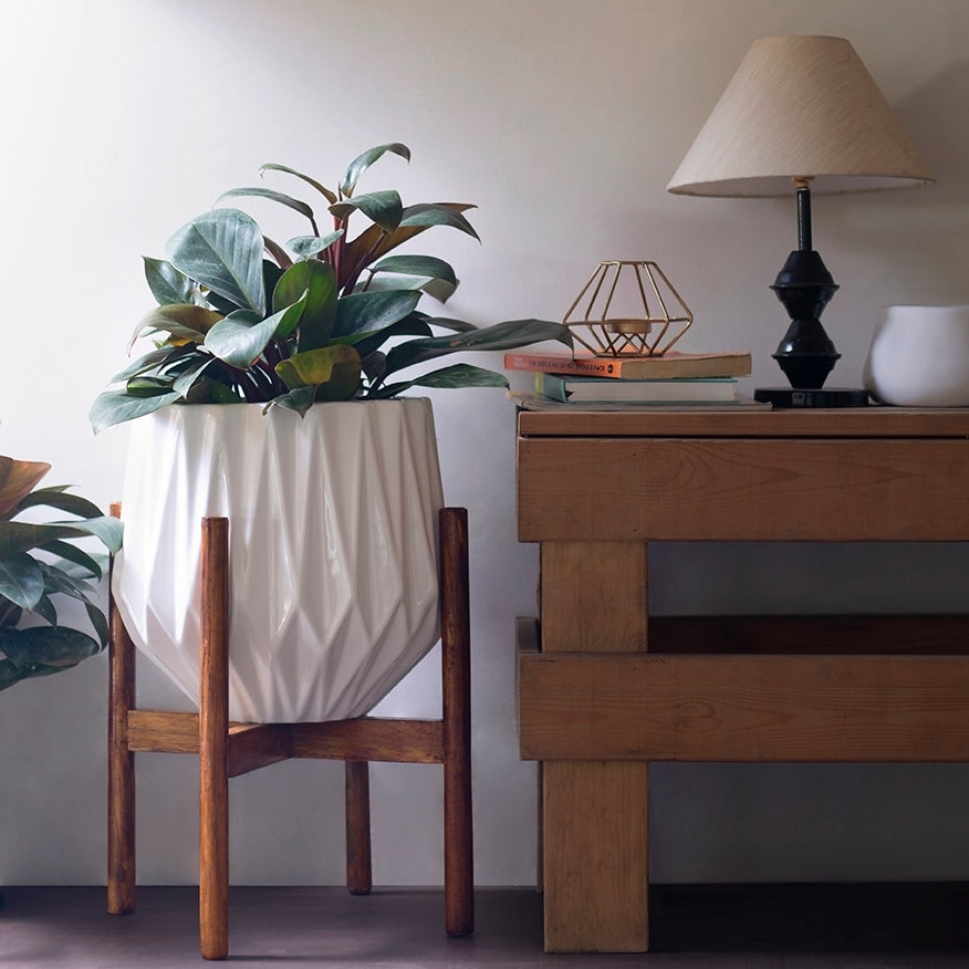 Precious Horcrux with Wooden Stand - Image 7